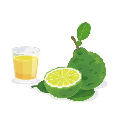 A glass of bergamot juice and fresh bergamot.のイラスト素材