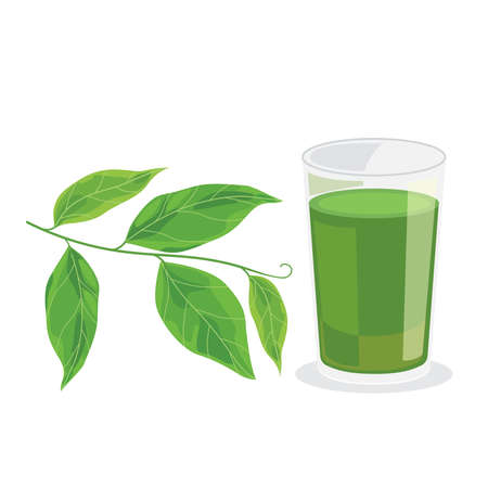 Bai yanang - Thai food and herb ingredient for healthy, glass of yanang juice.のイラスト素材