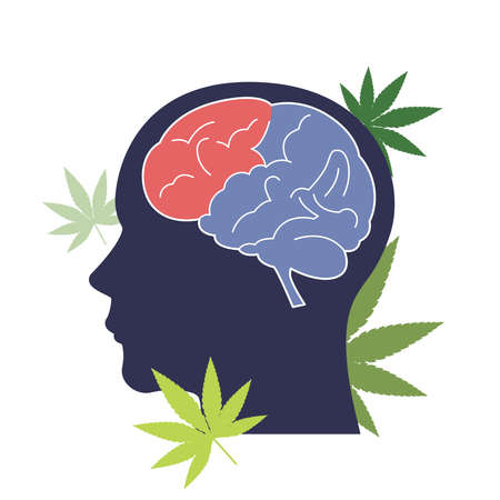 Alternative medicine, Vector human head and brain with cannabis.のイラスト素材