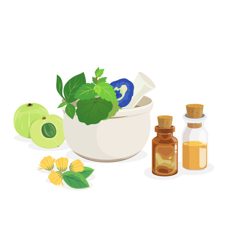Alternative drug fresh herb with pestle and mortar and essential oil.のイラスト素材