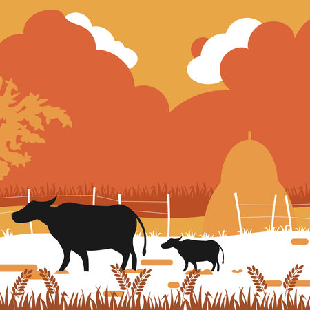 buffalo in the wet paddy field backgroundのイラスト素材