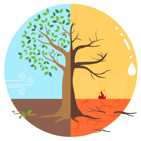Vector of climate change before and afterのイラスト素材