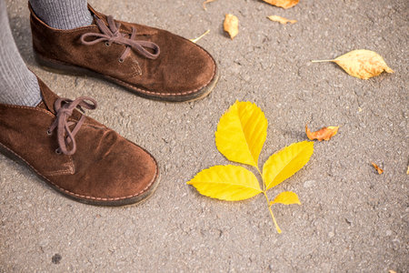 Brown lady shoes and yellow autumn leaves