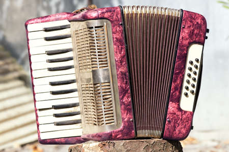 Picture with vintage accordion on a logの写真素材