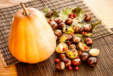 Pumpkin chestnuts and dog rose berry, still life shotの写真素材