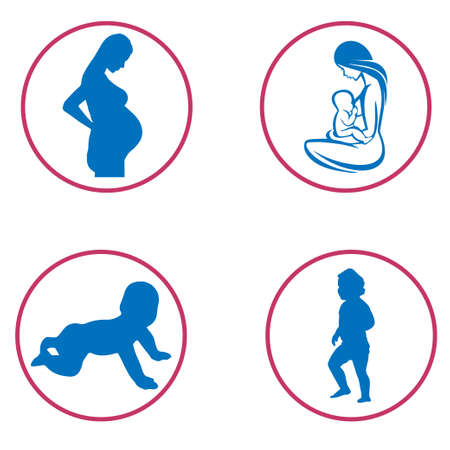 Baby evolution  from the womb to 24 monthsのイラスト素材