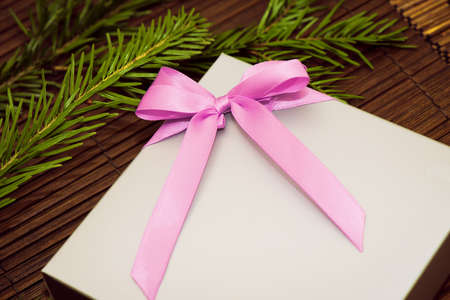 Gift box and fir tree, conceptual pictureの写真素材