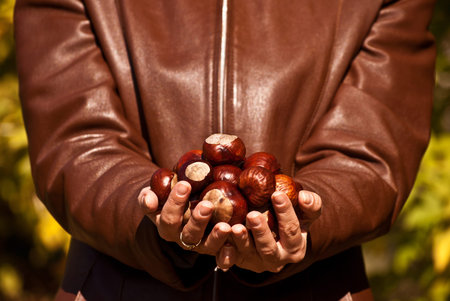 Woman holding in her hands many chestnuts