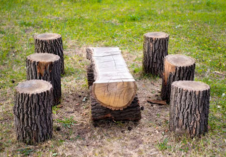 Wooden table and stools made from tree logs outdoorsの写真素材