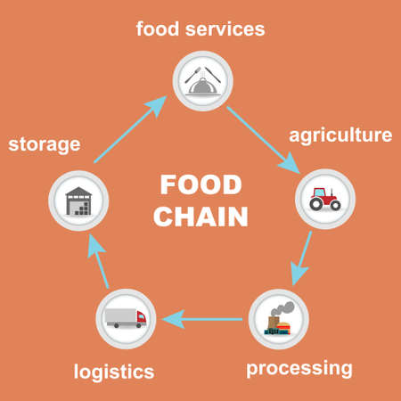 Different food chain stages interconnectedのイラスト素材