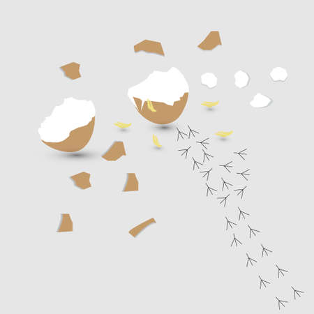 Broken eggshell with feathers and footprints of a chicken, hatching conceptのイラスト素材