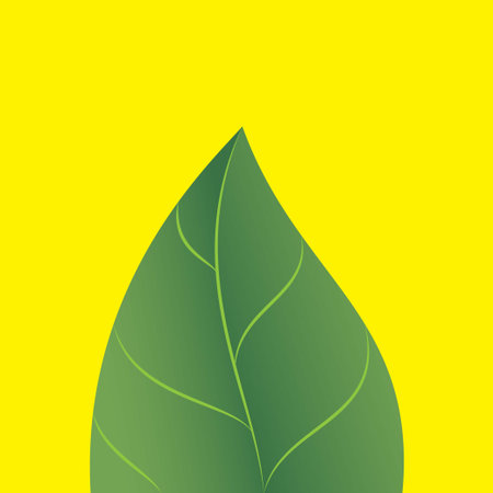 Green leaf on yellow background