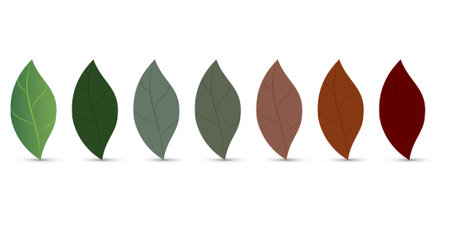 Seven leaves of different colorsのイラスト素材