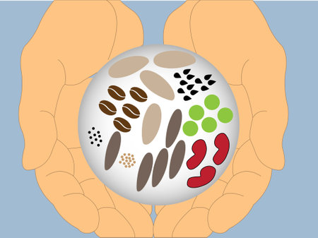 Hands holding seeds in a transparent globeのイラスト素材