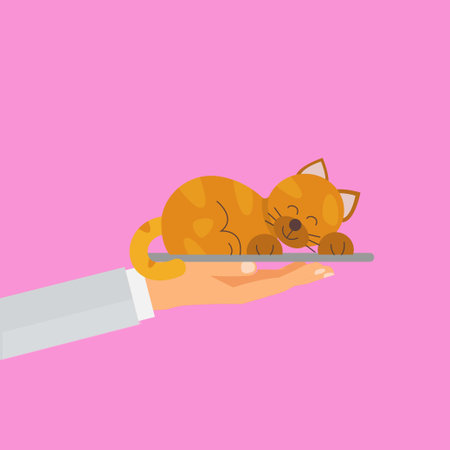 Hand holding a tray with a sleeping cat on itのイラスト素材