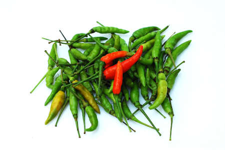 chilli on white backgroundの写真素材