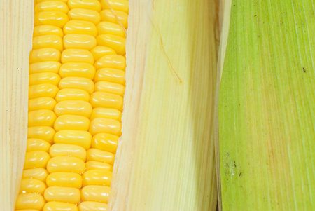 closeup kernel corn