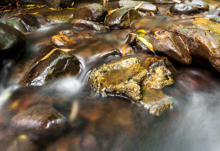 Soft streams in the forest の写真素材