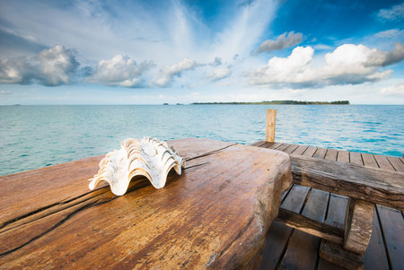 Seashells on the table near the seaの写真素材