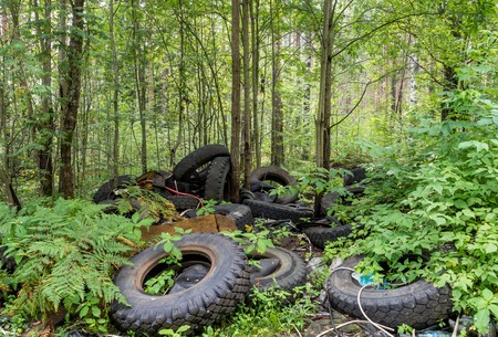 Tires in the forestの写真素材