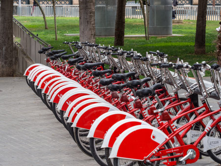 Photography bike rental in Barcelona. Spain. Automn