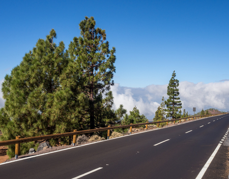 Road on the way to the volcano Tenerife. Beautiful view above the cloudsの写真素材