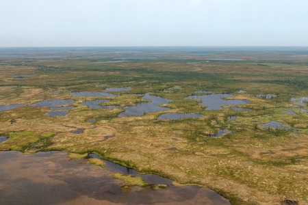 Rivers, swamps of Siberia. Photo taken from helicopterの写真素材
