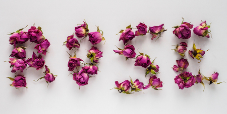 Photo of dried roses on a white background. Flatleyの写真素材