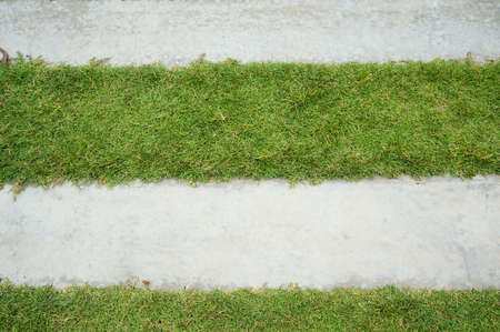 grass and cement pavementの写真素材