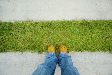 woman are standing on the grass and cement pathの写真素材
