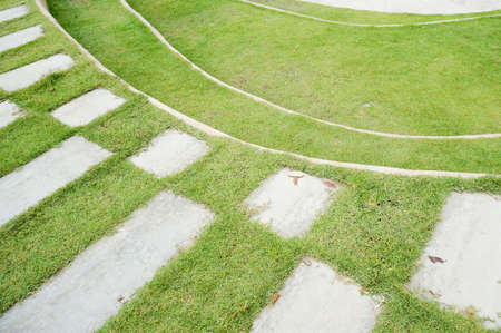 pavement and grass in the garden in staircase style exteriorの写真素材