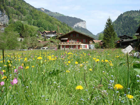 Cozy, rustic house between beautiful mountains. Yellow and pink flowers grow among the grass on the green lawn in front of the house.のeditorial素材