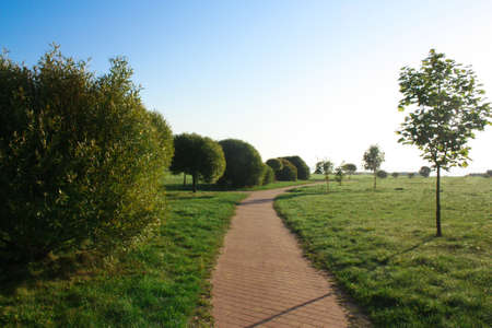 A sunny morning in a beautiful park. Lush green trees grow along the pedestrian path.の写真素材