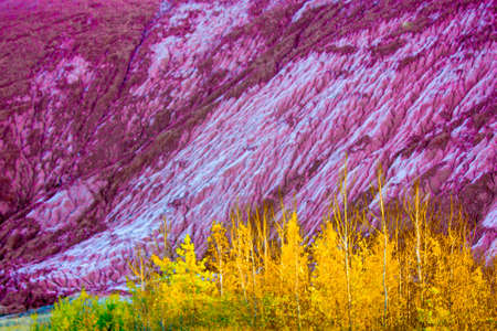 Young, autumn trees at the foot of the mountain, made of clay and industrial waste. Piles of industrial waste and environmental pollution.の写真素材