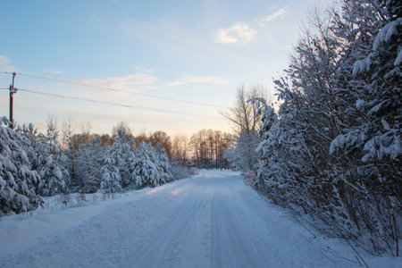 Beautiful fir trees with snow on the branches stand on the side of the road. Winter forest road under a blue sky with shades of sunset.の写真素材