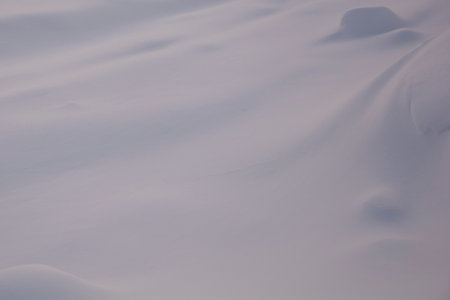 white snow. Light snow background. Snowy surface texture.の写真素材