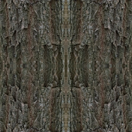 Gray wood background. The bark of a gray tree is in close-up. Wood texture. Seamless image. Symmetricalの写真素材
