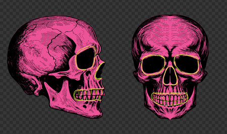 Pink neon human skull in woodcut style. Vector engraving sketch illustration for tattoo and print designのイラスト素材