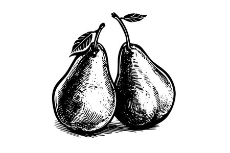 Set of pearls. Ink sketch isolated on white background. hand drawn vector illustration.のイラスト素材