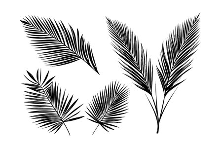 Exotic tropical leaf hand drawn vector. Botanical leaves engraved ink artのイラスト素材