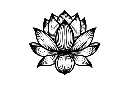 A lotus lily water flower in a vintage woodcut engraved etching style vector illustration.のイラスト素材