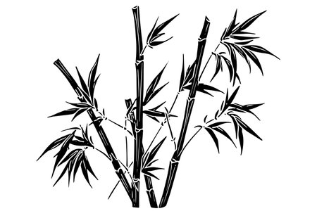 Hand drawn ink sketch of bamboo leaves and branches. Vector illustration.のイラスト素材