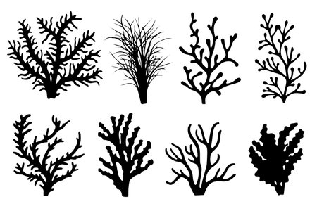 Hand drawn set of corals and seaweed silhouette isolated on white background. Vector icons and stamp illustration.のイラスト素材