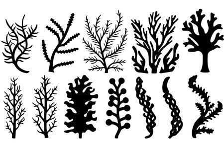 Hand drawn set of corals and seaweed silhouette isolated on white background. Vector icons and stamp illustration.のイラスト素材