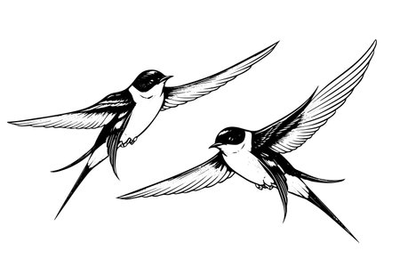 Ink sketch of flying swallow. Hand drawn engraving style vector illustration.のイラスト素材