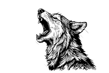 Angry wolf head hand drawn ink sketch. Engraving vintage style vector illustration. Design for...