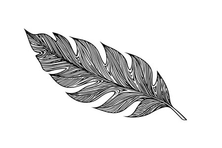 Exotic tropical leaf hand drawn vector. Botanical leaves engraved ink art.のイラスト素材