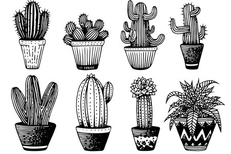 Set of cactus in engraving style vector illustration.Cactus hand drawn sketch imitation.のイラスト素材