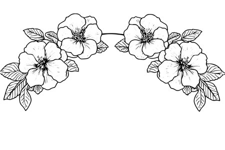 Hibiscus flower border hand drawn ink sketch. Engraved style vector illustration.のイラスト素材