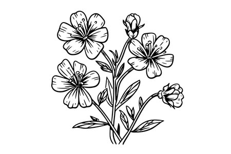 Wild flower hand drawn ink sketch. Engraved retro style vector illustration.のイラスト素材